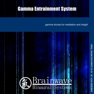 Gamma Entrainment System