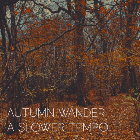 Autumn Wander