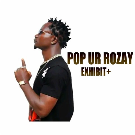 Pop ur rozay | Boomplay Music