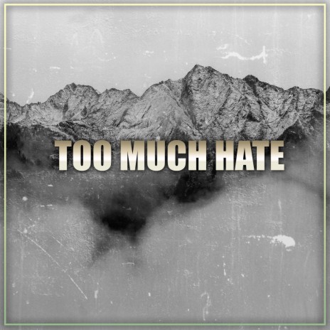 Too Much Hate | Boomplay Music