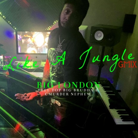Like A Jungle (Out Numbered) | Boomplay Music