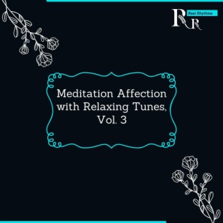 Meditation Affection with Relaxing Tunes, Vol. 3