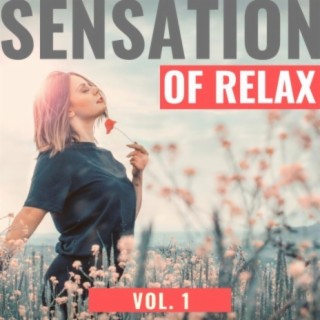 Sensation of Relax, Vol.1