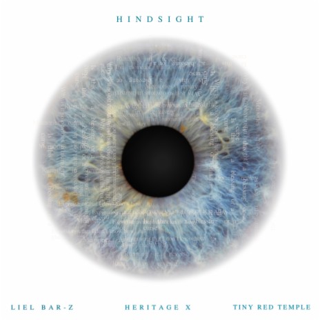 Hindsight ft. Tiny Red Temple & HERITAGE X | Boomplay Music