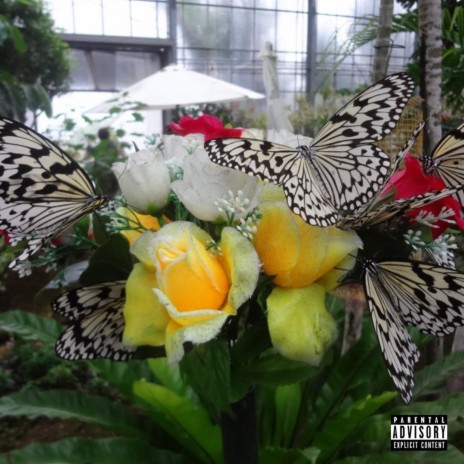 Butterfly Time | Boomplay Music