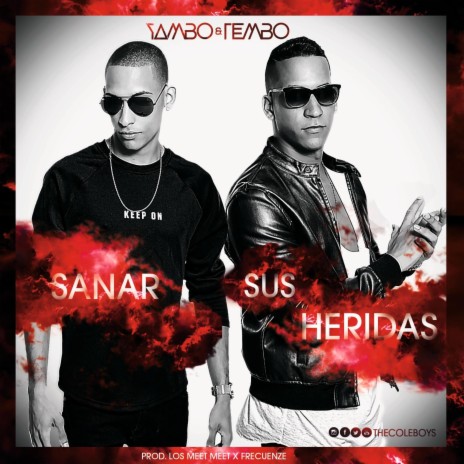 Sanar Sus Heridas | Boomplay Music