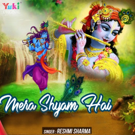 Mera Shyam Hai | Boomplay Music