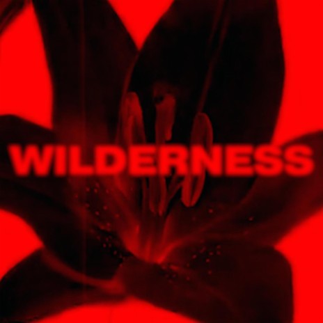 Wilderness (Mastered)