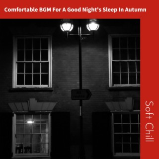 Comfortable BGM For A Good Night's Sleep In Autumn