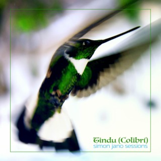 Tindu (Colibrí) lyrics | Boomplay Music