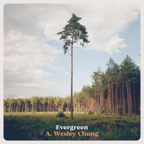 Evergreen (feat. Gillian Higgins) | Boomplay Music