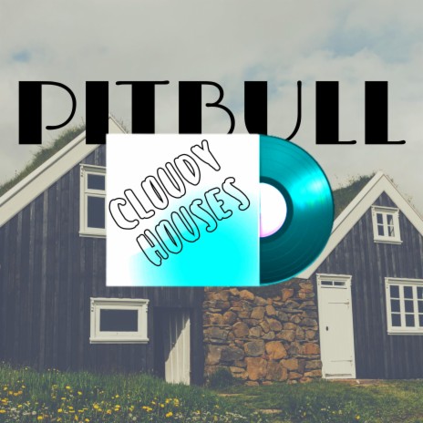 Pitbull | Boomplay Music