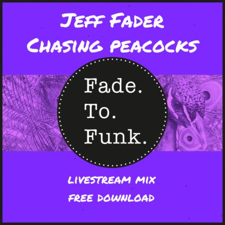 Chasing Peacocks (Livestream Mix)