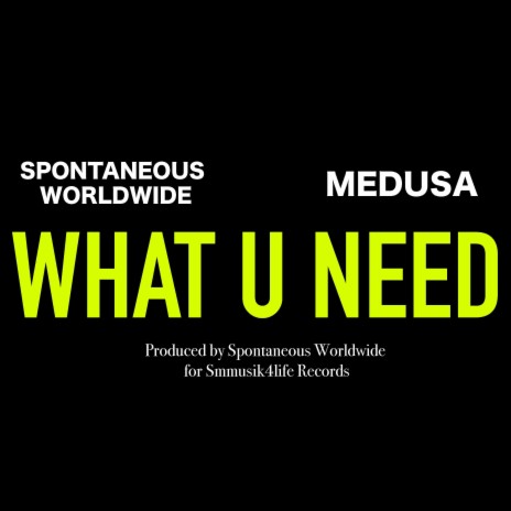 WHAT U NEED ft. MEDUSA | Boomplay Music