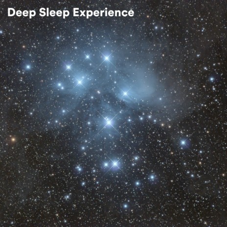 Soul Harmony ft. Deep Sleep Meditation & Deep Sleep Music Experience