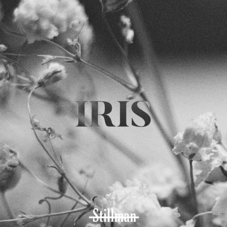 Iris | Boomplay Music