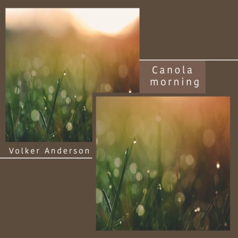 Canola Morning | Boomplay Music