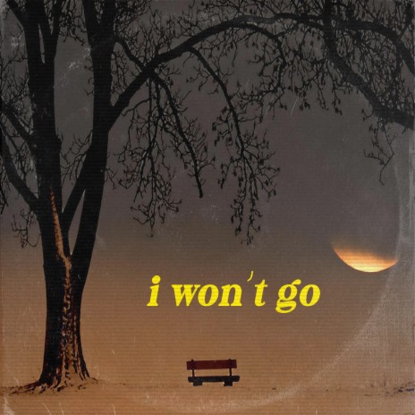 I Won't Go | Boomplay Music