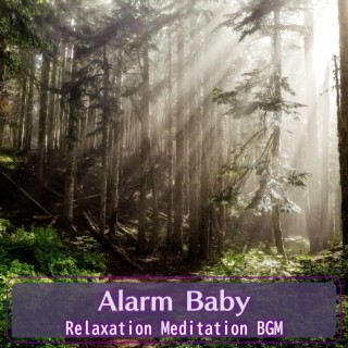 Relaxation Meditation Bgm