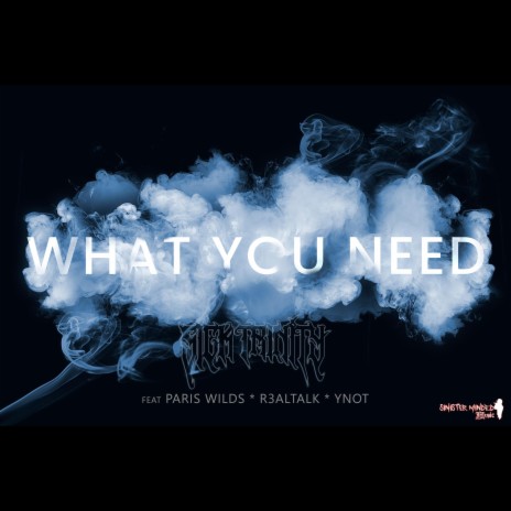 WHAT YOU NEED ft. EZ SIXOSIX, PARIS WILDS, R3ALTALK & YNOT