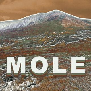 Mole