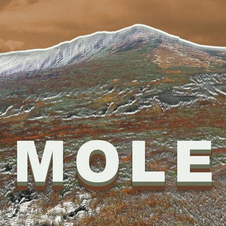 Mole | Boomplay Music