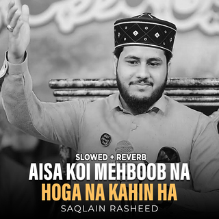 Aisa Koi Mehboob Na Hoga Na Kahin Ha (Lofi-Mix)