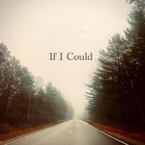 If I Could | Boomplay Music