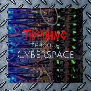 Thrashing Through Cyberspace