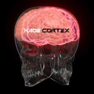 Cortex