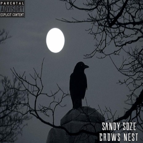 CROWS NEST | Boomplay Music