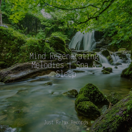 Enchanted Shifts in Time ft. Música Zen Relaxante & Music For Absolute Sleep | Boomplay Music