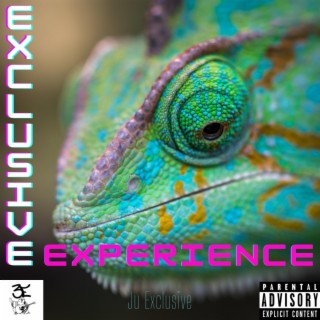 Exclusive Experience