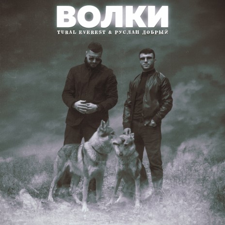 Волки ft. Tural Everest | Boomplay Music