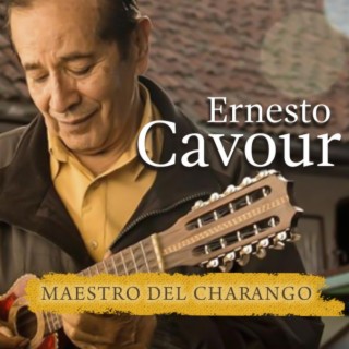 Maestro Del Charango