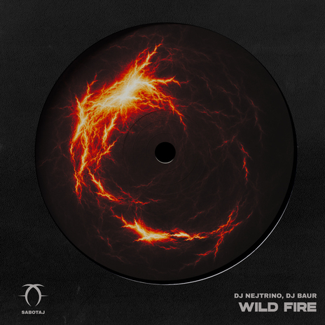 Wild Fire ft. Dj Baur | Boomplay Music