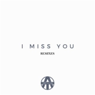 I Miss You (Remixes)