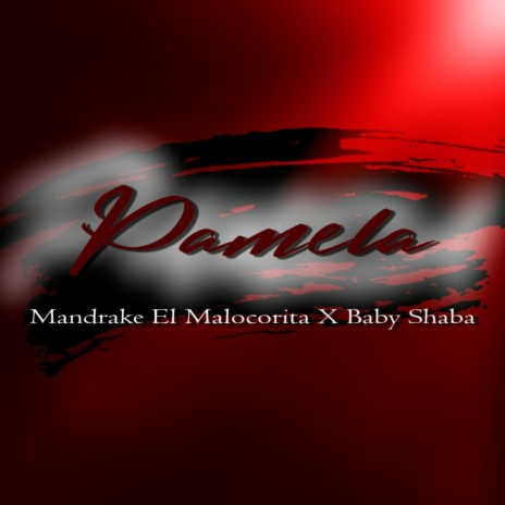 Pamela ft. Mandrake El Malocorita | Boomplay Music