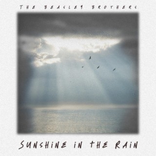 Sunshine in the Rain lyrics | Boomplay Music