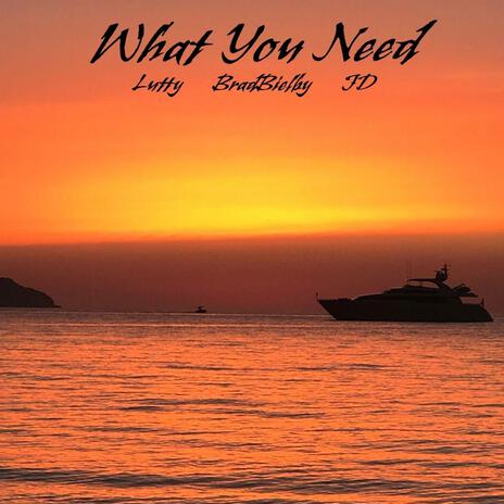 What you Need ft. LUTTY & JD | Boomplay Music