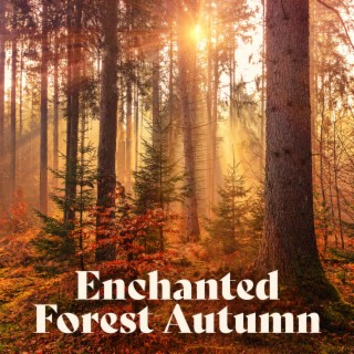 Enchanted Forest Autumn: Fantasy Ambience Music for Study, Read and Relax