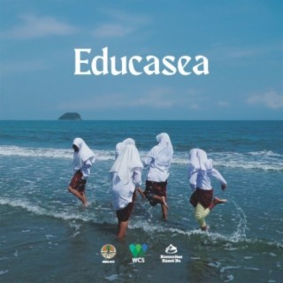 Educasea