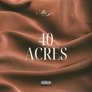 40 Acres lyrics | Boomplay Music