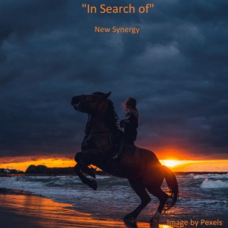 In Search of