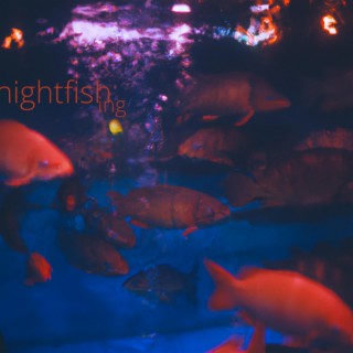 nightfishing