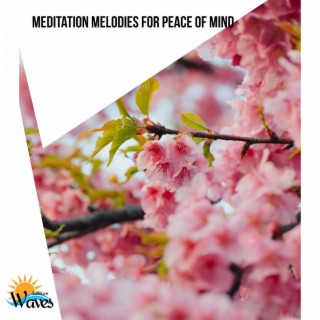 Meditation Melodies for Peace of Mind