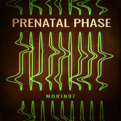 Prenatal Phase | Boomplay Music
