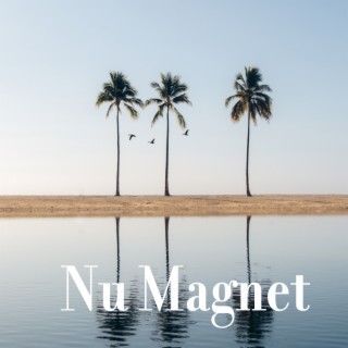 Nu Magnet