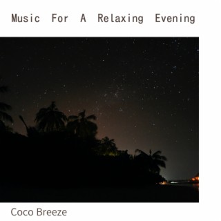 Music For A Relaxing Evening