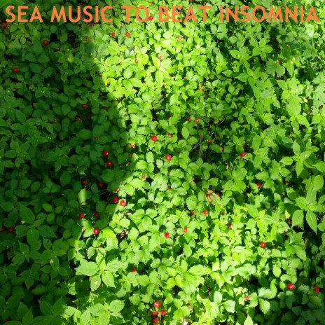 Sea Music To Beat Insomnia